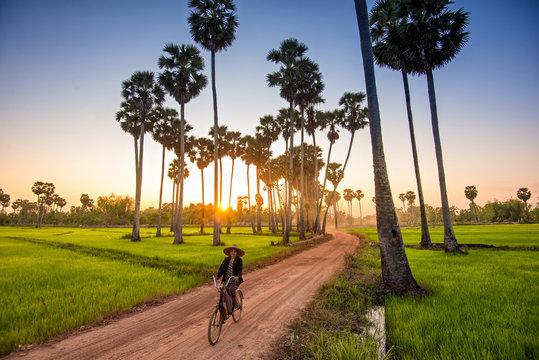 Seasonal farming activities in Cambodia